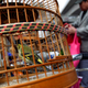 A bird market in Beijing, China.